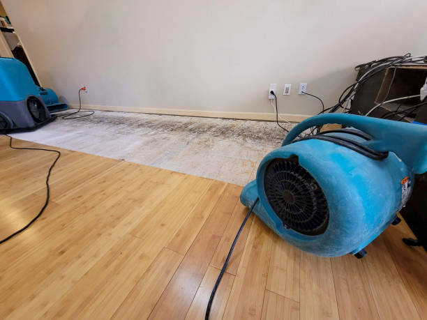 Professional Basement Flood Cleanup technician working in Ubly, MI